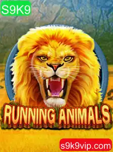 RunningAnimals: Uma Aventura Eletrizante no Mundo dos Jogos